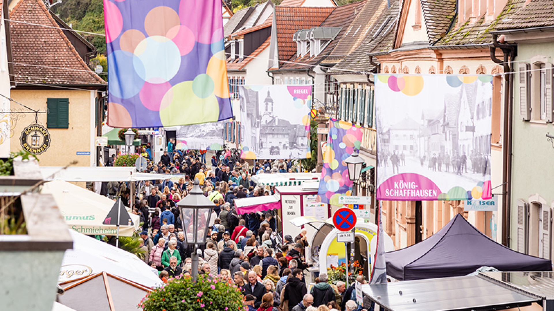 Kaiserstuhlmarkt Endingen 2024 Chris Eltjes (5)